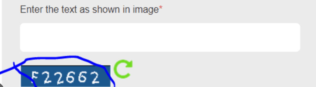 Accessible form verification example